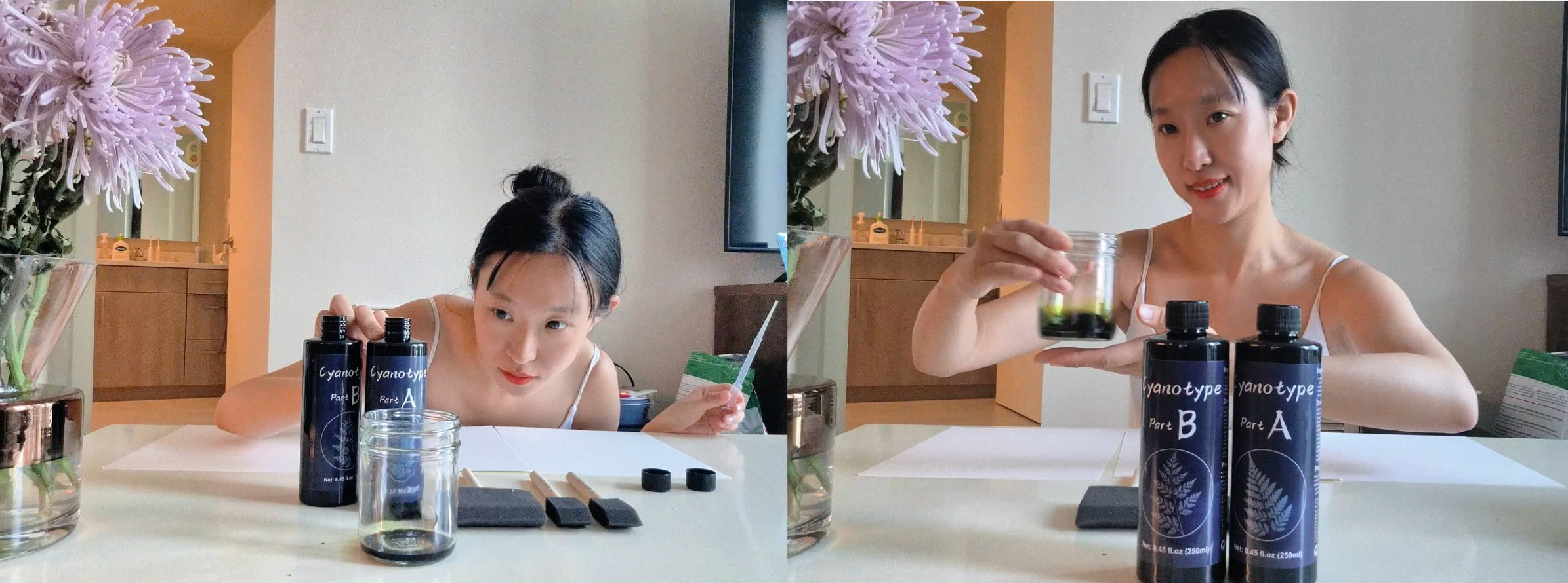 Solution formulation in Tianci Dong's cyanotype process